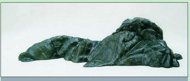 图解 树石盆景《别有洞天》的制作 11幅