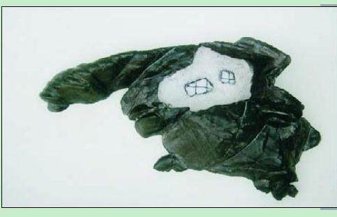 图解 树石盆景《别有洞天》的制作 11幅