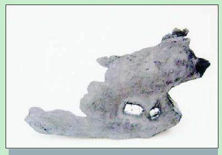 图解 树石盆景《别有洞天》的制作 11幅