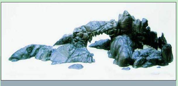 图解 树石盆景《别有洞天》的制作 11幅