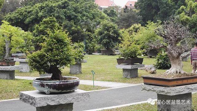 盆景之家 -- 广州流花西苑