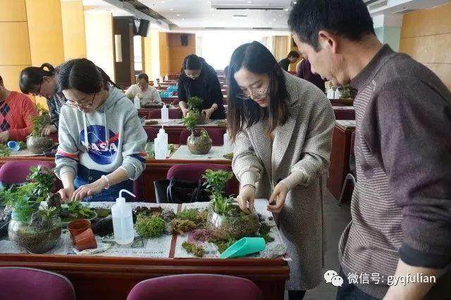 智慧女子学堂&mdash;&mdash;&ldquo;绿植盆景 制作体验&rdquo;活动