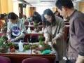 智慧女子学堂-绿植盆景 制作体验活动