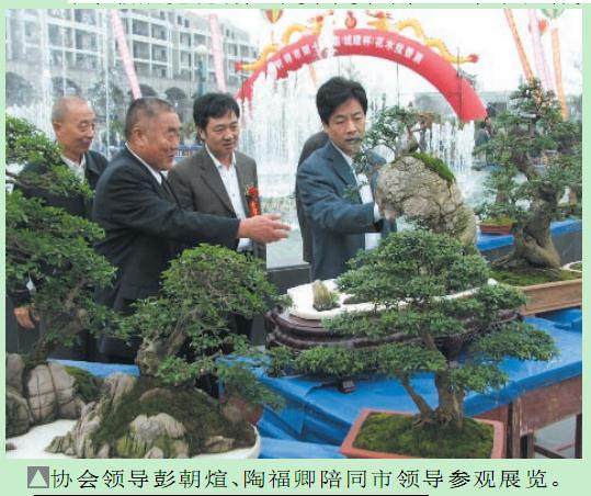 钟祥市召开了&ldquo;湖北盆景制作研讨现场演示会&rdquo;