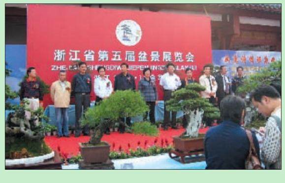 浙江第五届盆景展在金华市中国茶花文化园开幕