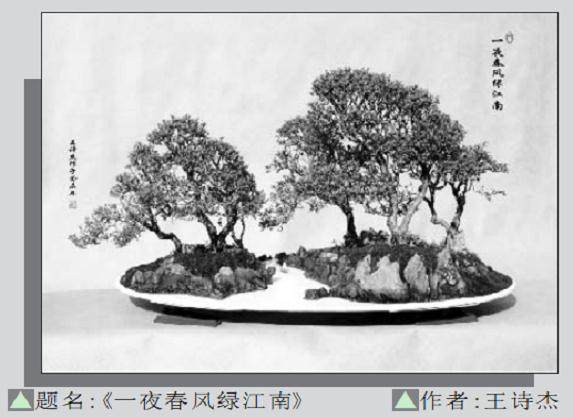 一件题名为《相依》的柞树盆景就存放在其中