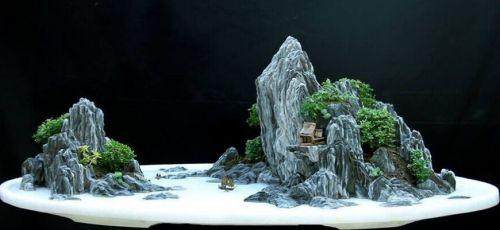 盆景杂志自今年改版以来 从版式、封面设计到文章