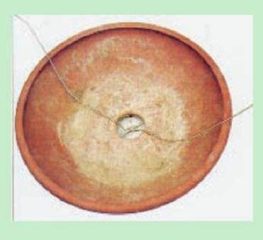 图解 名家教你怎么制作瓜子黄杨盆景