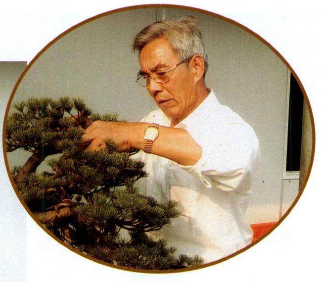 基本完成主骨架定型后的效果