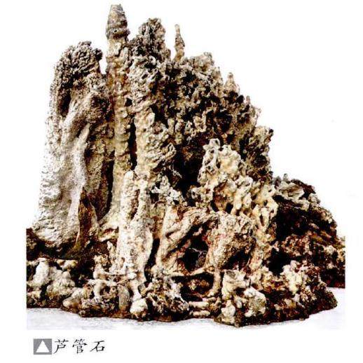 制作树石盆景常用的10种石头