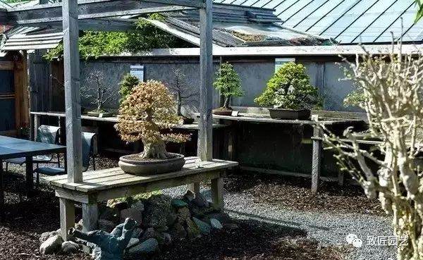 德国杜塞尔多夫盆景博物馆