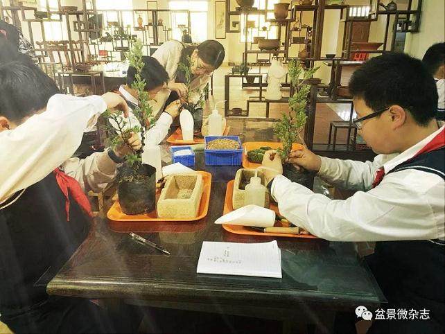 庄头小学25名小记者走进鸿江盆景园