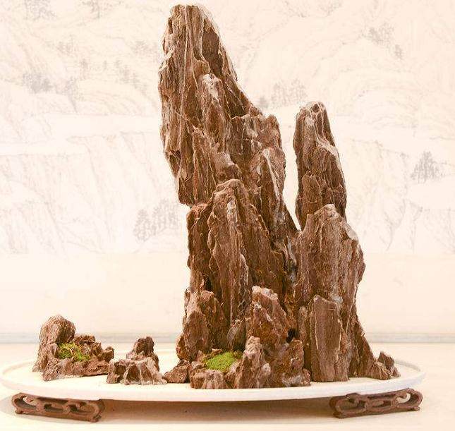 运用古诗词或者典故给盆景命名