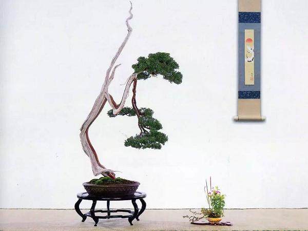 素仁格盆景的禅宗美学思想