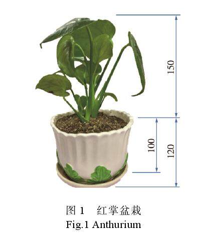 如何设计方便于快递的盆栽包装纸箱?