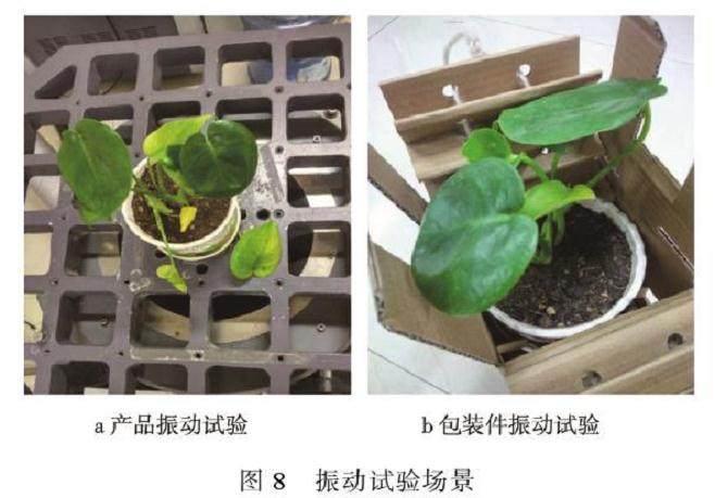 如何设计方便于快递的盆栽包装纸箱?