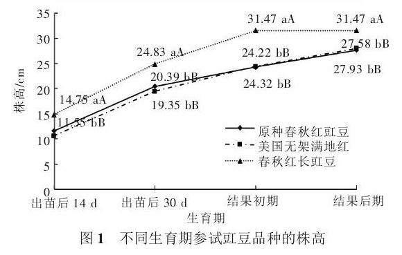 3个无架紫色豇豆品种盆栽筛选试验初报