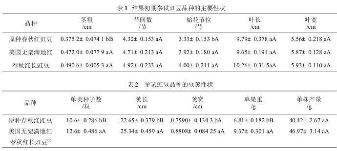 3个无架紫色豇豆品种盆栽筛选试验初报