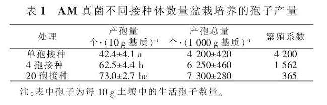 VA 菌根真菌不同接种体数量盆栽扩繁试验