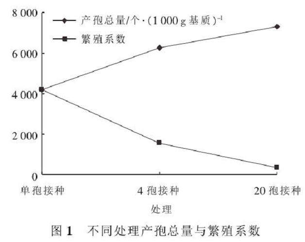 VA 菌根真菌不同接种体数量盆栽扩繁试验