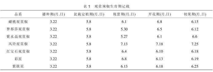 观赏辣椒品种的盆栽试验
