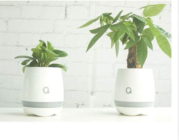 基于 ATMEGA2560 的智能盆栽呵护系统