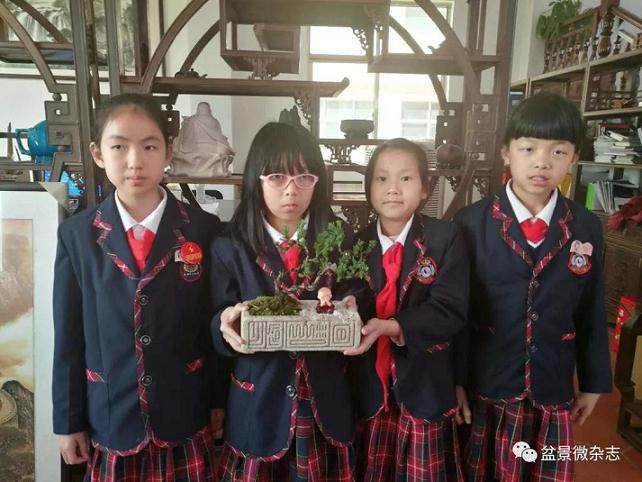 逛一回鸿江盆景园 赏几株奇松怪木 我收获良多