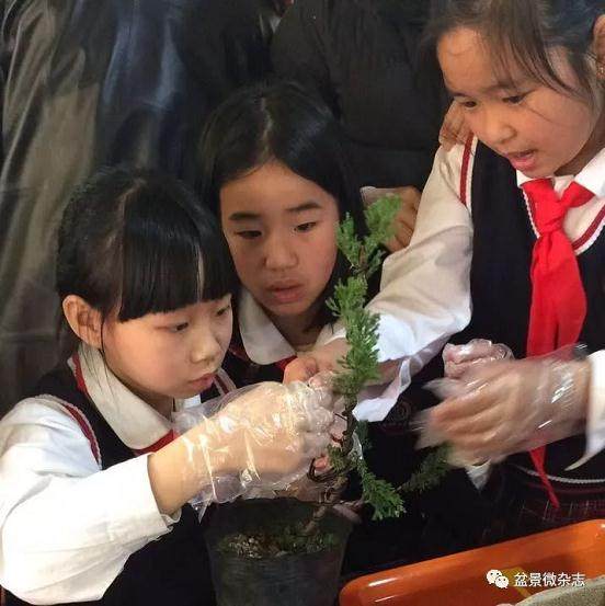 星期五 我们402中队要到鸿江盆景园实践活动