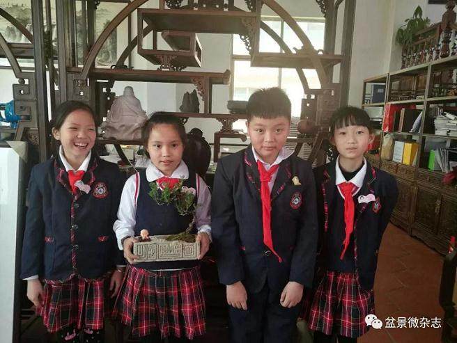 今天 我们怀着无比兴奋的心情踏进鸿江盆景园