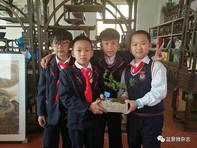 今天 我们举班前往&ldquo;鸿江盆景园&rdquo;游玩