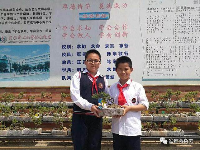 阳光中的鸿江盆景园——家乡独好的这一处美景