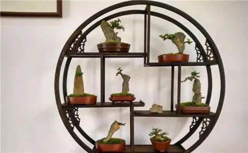 2018中国&middot;开封&ldquo;铁塔杯&rdquo;盆景邀请展