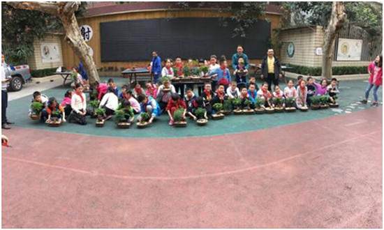 川派盆景进校园活动走进彩虹小学