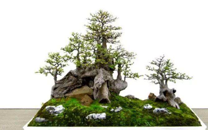 山东盆景艺术家协会召开第三届会员代表大会