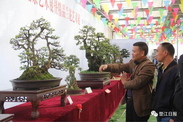 重庆市第十二届盆景艺术展在牡丹樱花世界景区举行