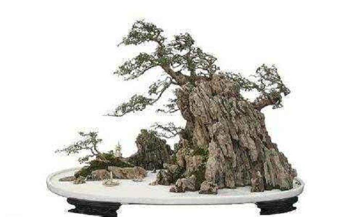 目前浙派盆景存在的问题与原因