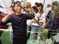 重庆市第十二届盆景艺术制作大赛在垫江县举行