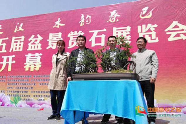 陕西省第五届盆景赏石花卉展览会