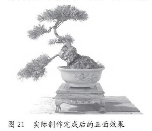 手绘盆景设计效果和Photoshop设计效果图的比较