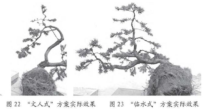 手绘盆景设计效果和Photoshop设计效果图的比较