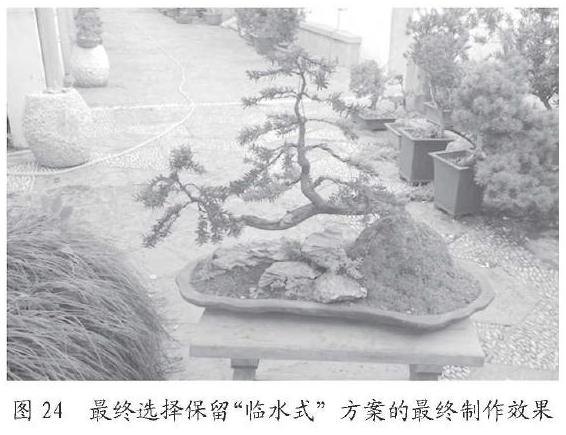 手绘盆景设计效果和Photoshop设计效果图的比较