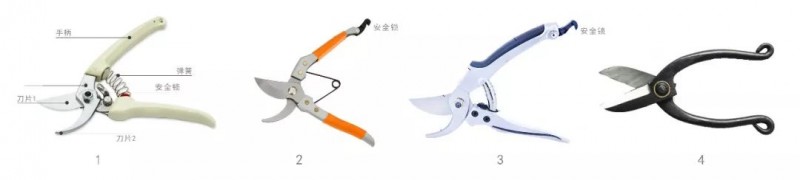 玩盆景 你要准备的工具有哪些