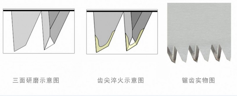 玩盆景 你要准备的工具有哪些