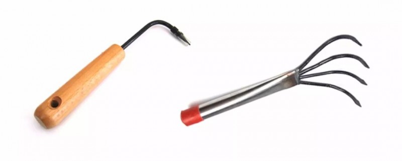 玩盆景 你要准备的工具有哪些