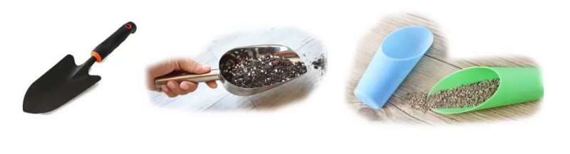 玩盆景 你要准备的工具有哪些