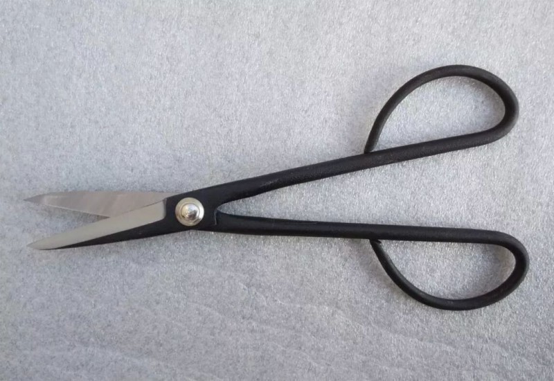 玩盆景 你要准备的工具有哪些