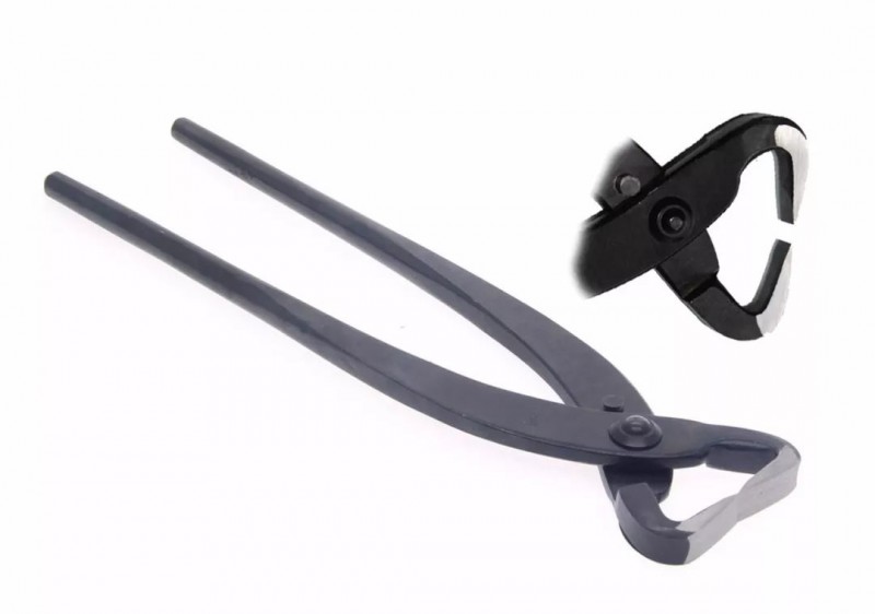 玩盆景 你要准备的工具有哪些