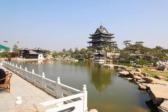 景粹中国&middot;九盆景联展