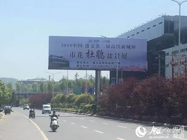 新蒲交警关于市花杜鹃盆景展期间的提示