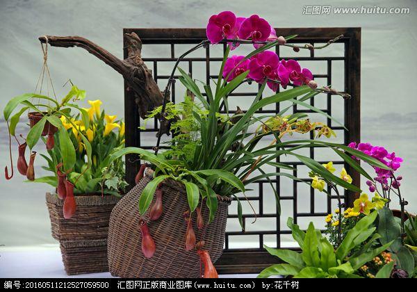 盆景与插花艺术课程改革探索